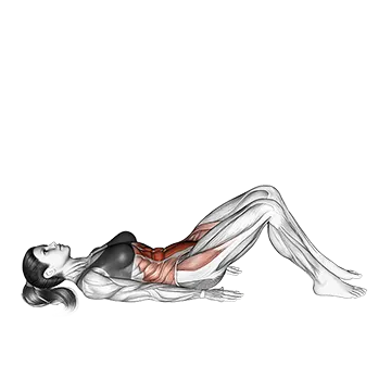Hip Crunch (knees bent)