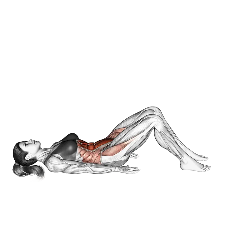 Hip Crunch (knees bent) exercise animation (Female)