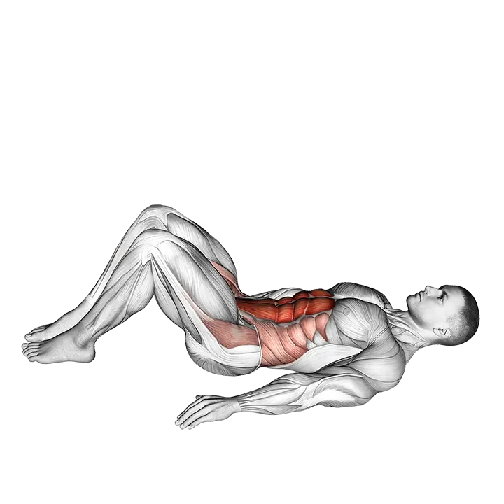 Hip Raise (bent knee) exercise animation (Male)
