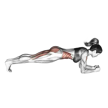 Hip Raise Bridge (version 2)