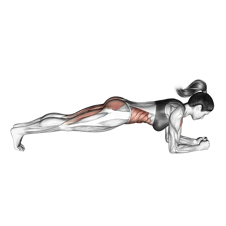 Hip Raise Bridge (version 2) exercise animation (Female)