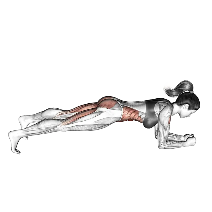 Hip Raise Bridge exercise animation (Female)