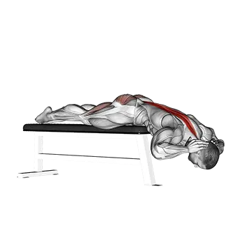 Hyperextension (on bench)