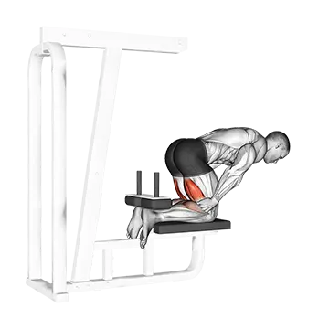 Inverse Leg Curl (bench support)