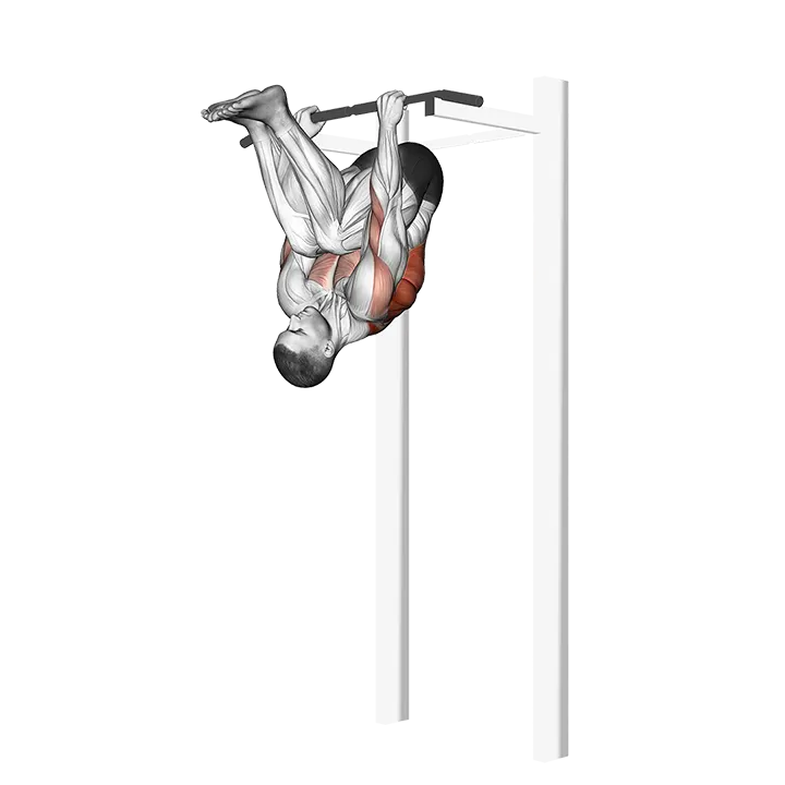 Inverted Row (version 2) exercise animation (Male)