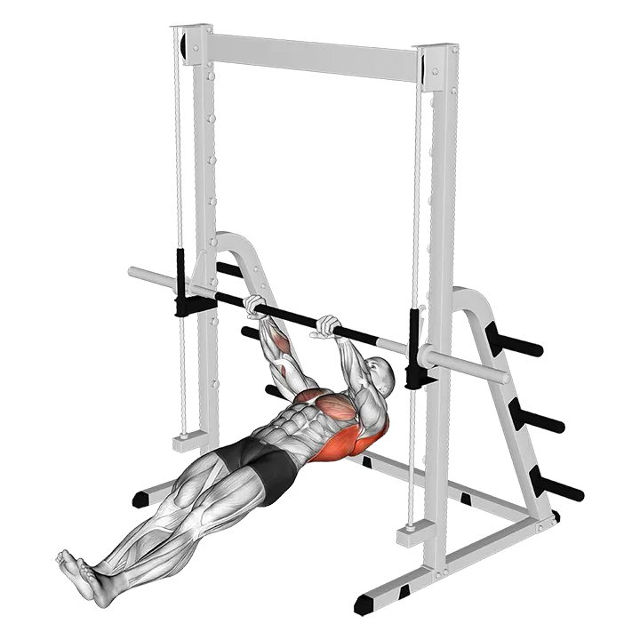 Inverted Row exercise animation (Male)
