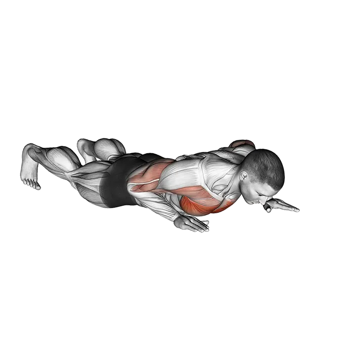 Isometric Wipers exercise animation (Male)