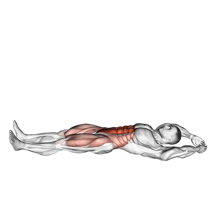 Jackknife Sit-Up exercise animation (Male)