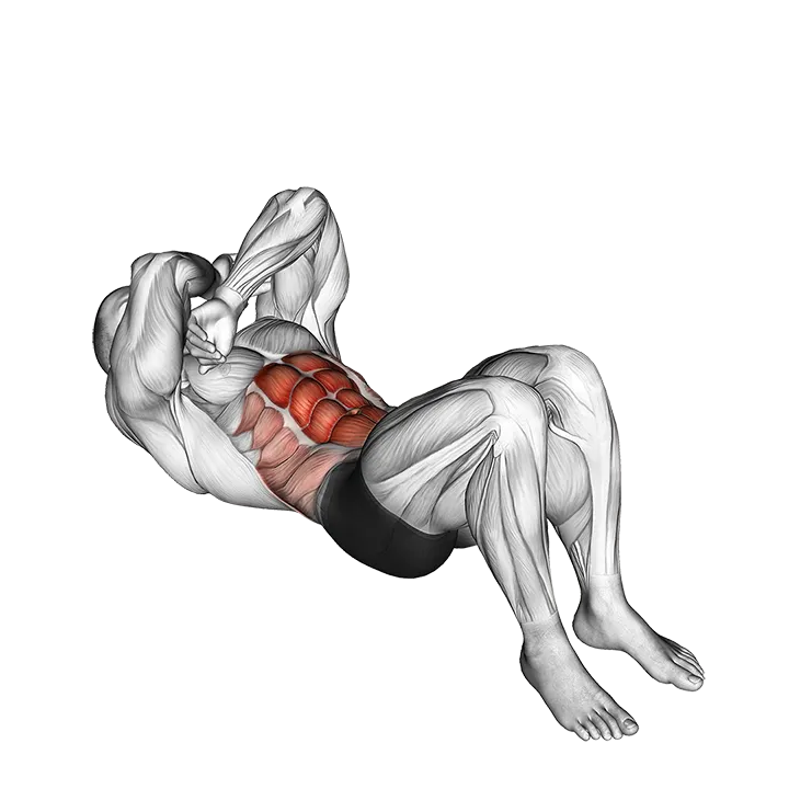 Janda Sit-up exercise animation (Male)
