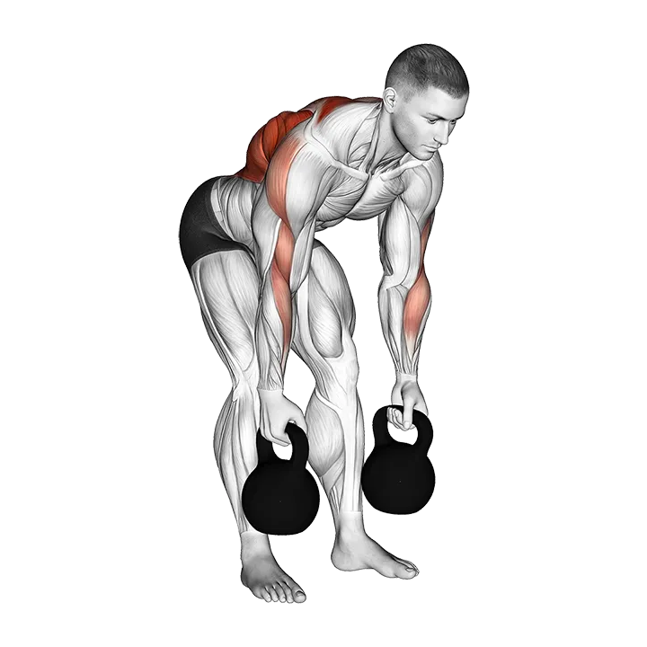 Kettlebell Alternating Row exercise animation (Male)