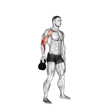 Kettlebell Bottoms Up Clean From The Hang Position