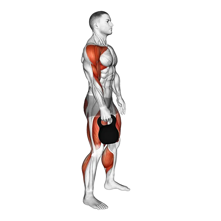 Kettlebell Hang Clean exercise animation (Male)