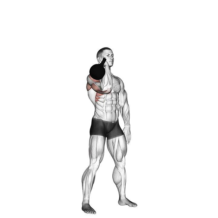 Kettlebell One Arm Military Press To The Side exercise animation (Männlich)