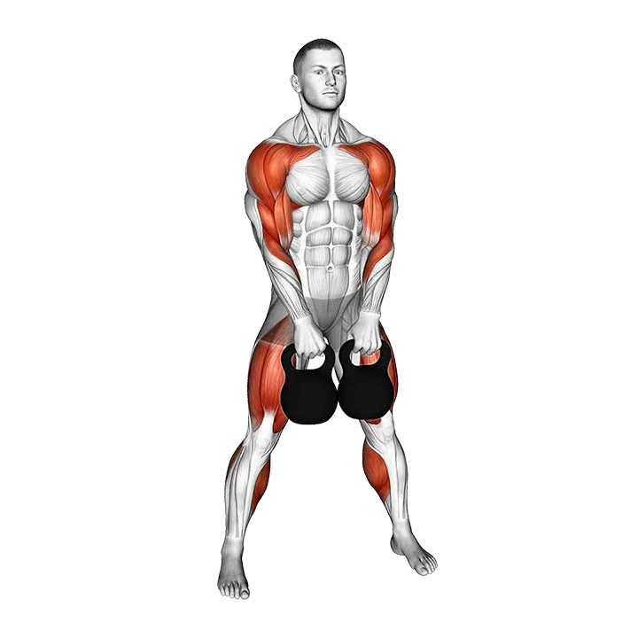 Kettlebell Two Arm Clean exercise animation (Male)
