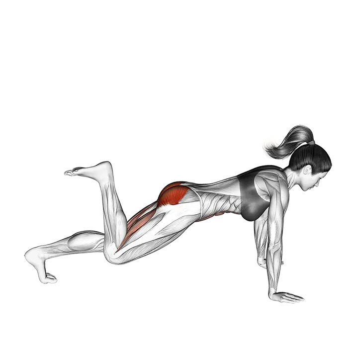 Kicks Leg Bent (version 2) exercise animation (Female)