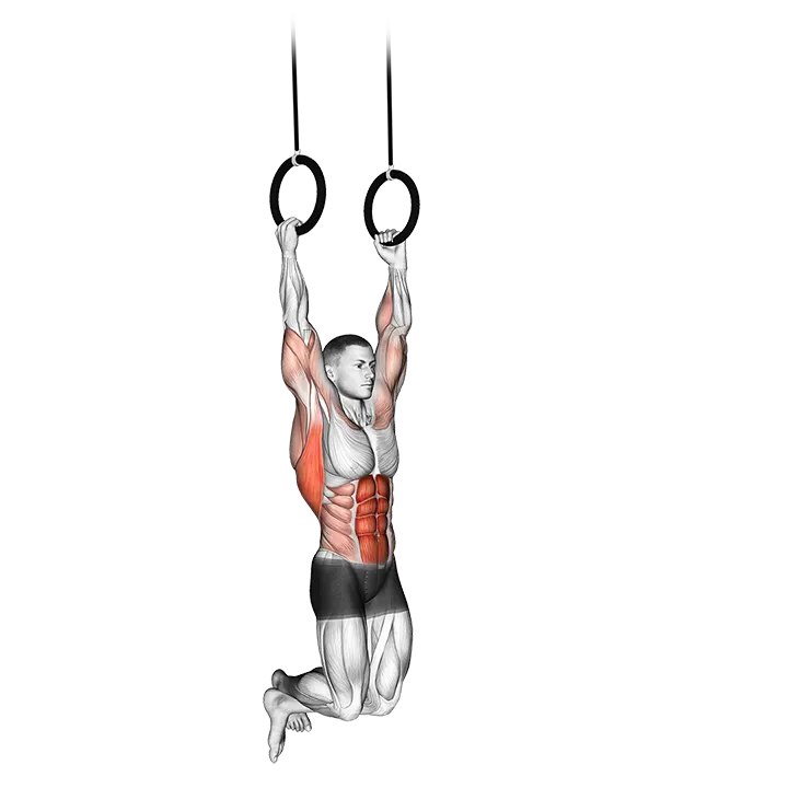 Kipping Muscle Up exercise animation (Männlich)