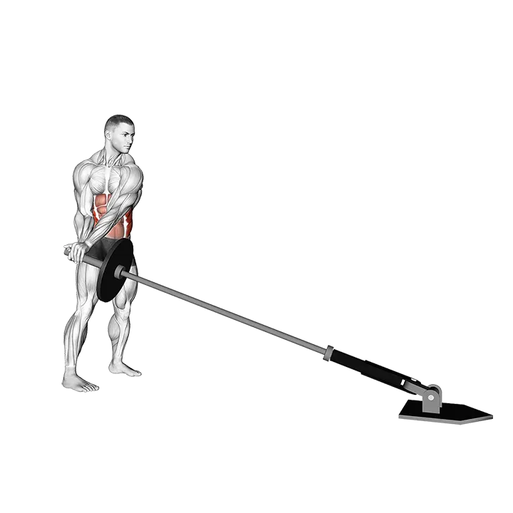 Landmine 180 exercise animation (Male)