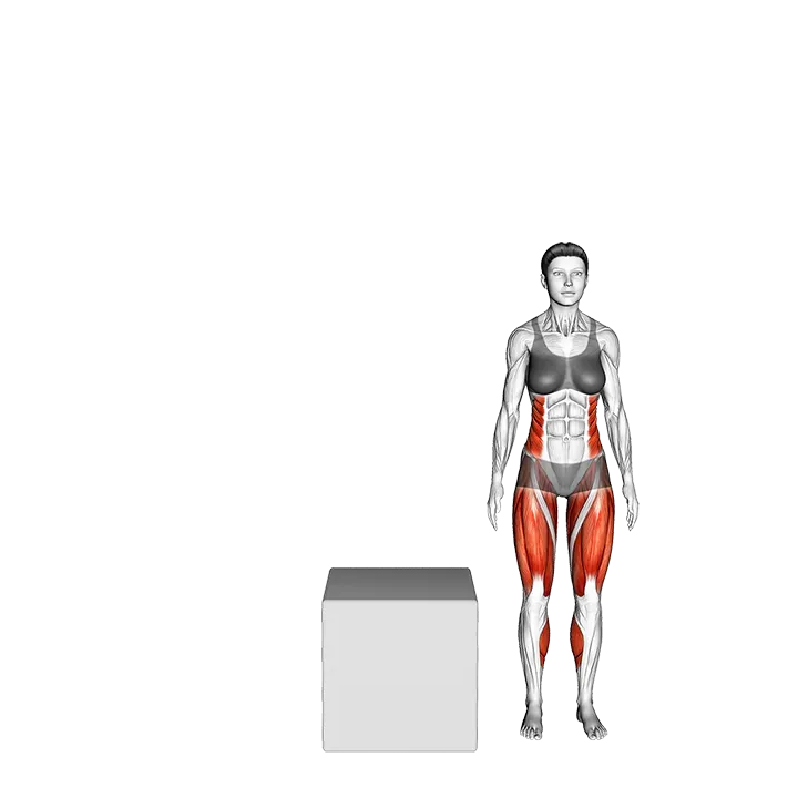 Lateral Box Jump exercise animation (Female)