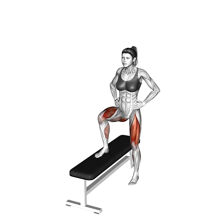 Lateral Step-up exercise animation (Female)