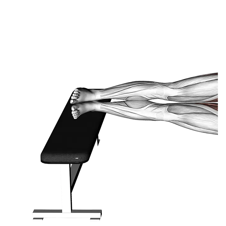 Leg Bench Side Bridge exercise animation (Female)