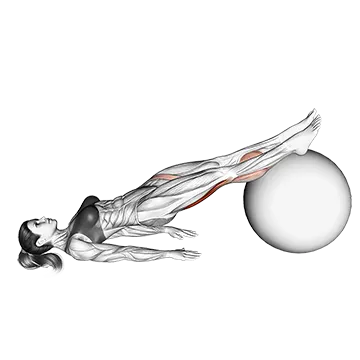 Leg Curl (on stability ball)