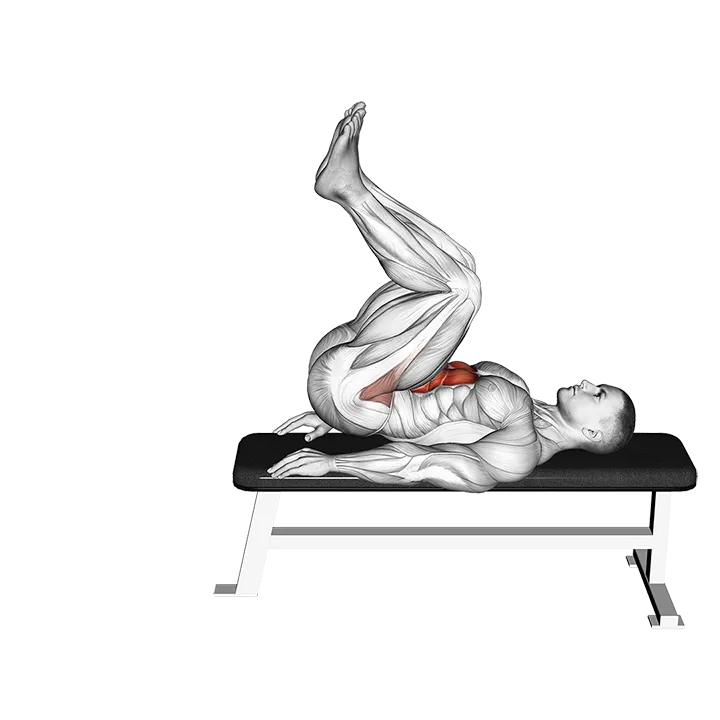 Leg Pull In Flat Bench exercise animation (Male)