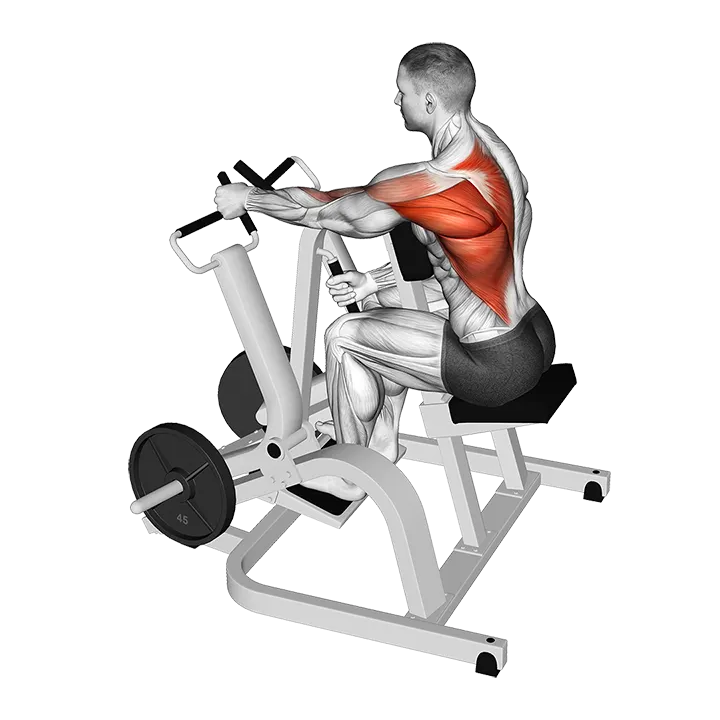 Lever Single Arm Neutral Grip Seated Row (plate loaded) exercise animation (Male)