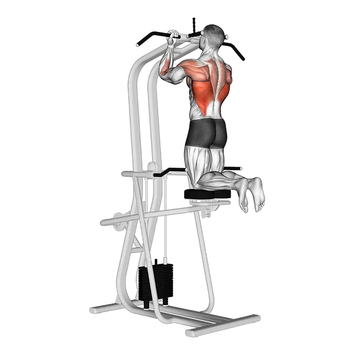 Lever Assisted Chin-Up exercise animation (Male)