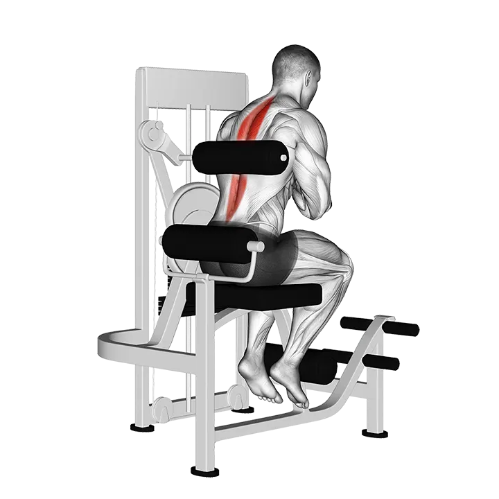 Lever Back Extension exercise animation (Male)