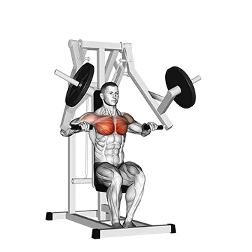 Lever Chest Press (plate loaded)