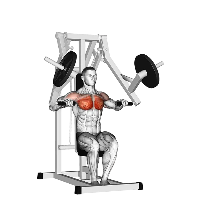 Lever Chest Press (plate loaded) exercise animation (Male)