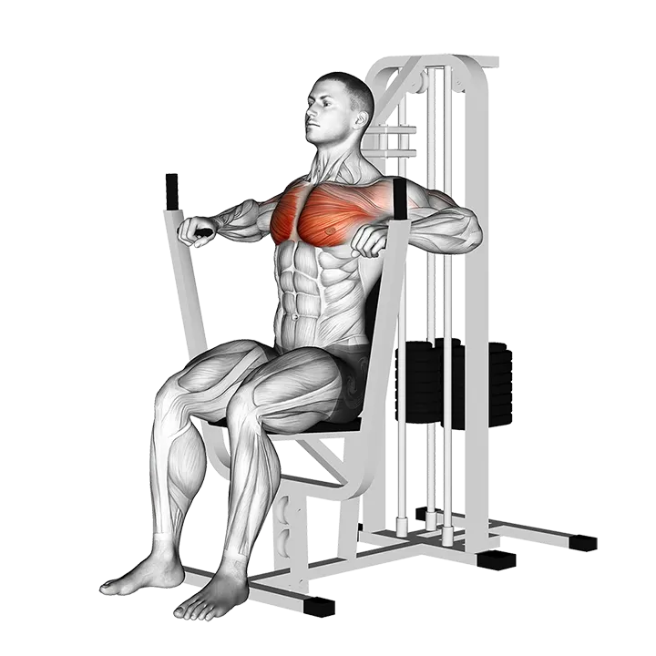 Lever Chest Press exercise animation (Male)