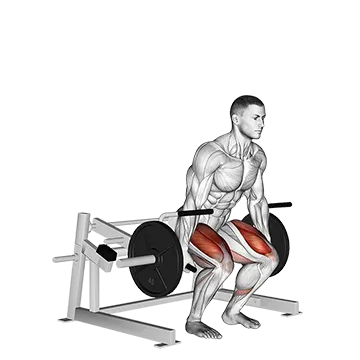 Lever Deadlift (plate loaded)