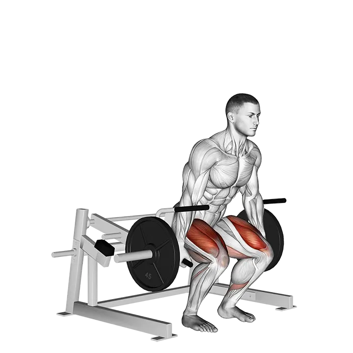 Lever Deadlift (plate loaded) exercise animation (Male)