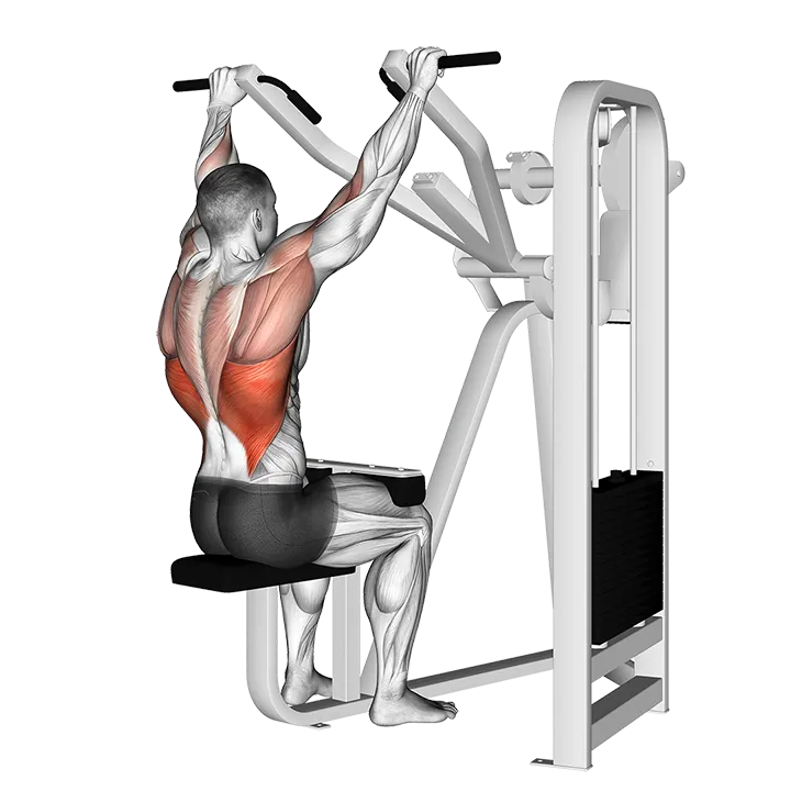 Lever Front Pulldown exercise animation (Male)