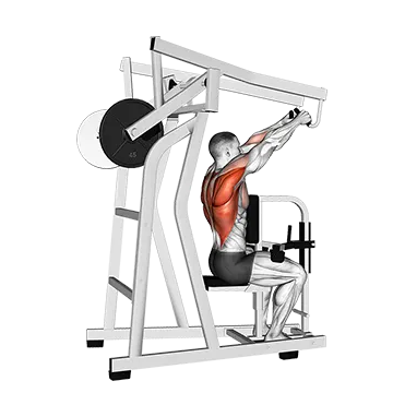 Lever High Row (plate loaded)