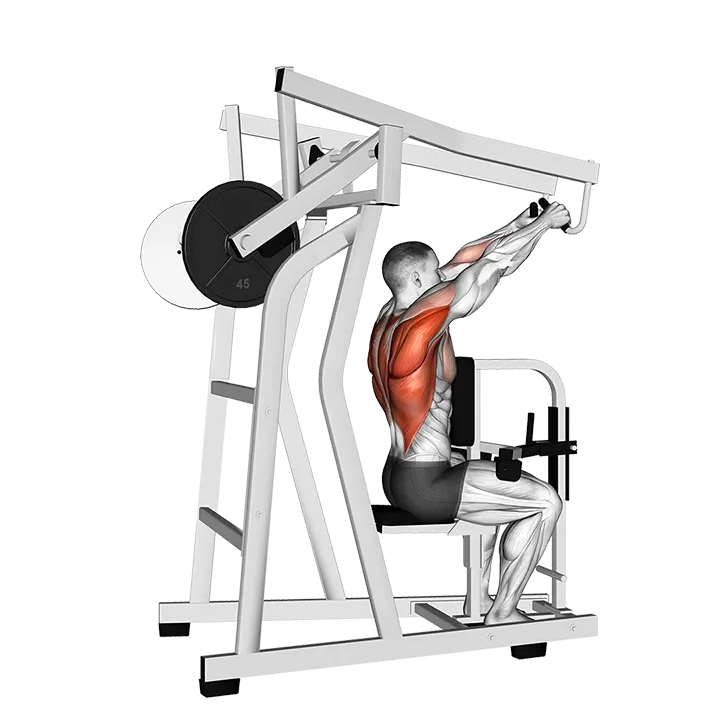 Lever High Row (plate loaded) exercise animation (Hombre)