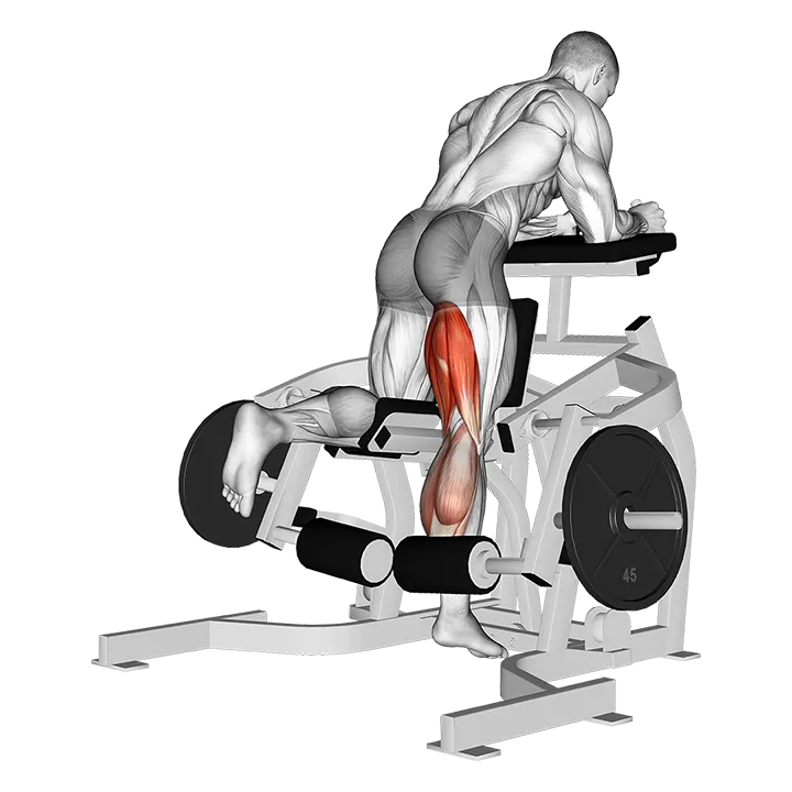Lever Kneeling Leg Curl (plate loaded) exercise animation (Male)