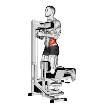 Lever Kneeling Twist