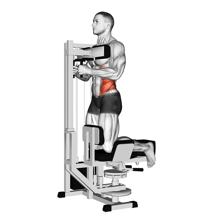 Lever Kneeling Twist exercise animation (Male)