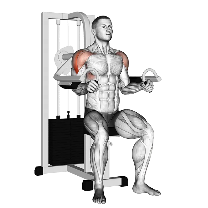 Lever Lateral Raise exercise animation (Male)