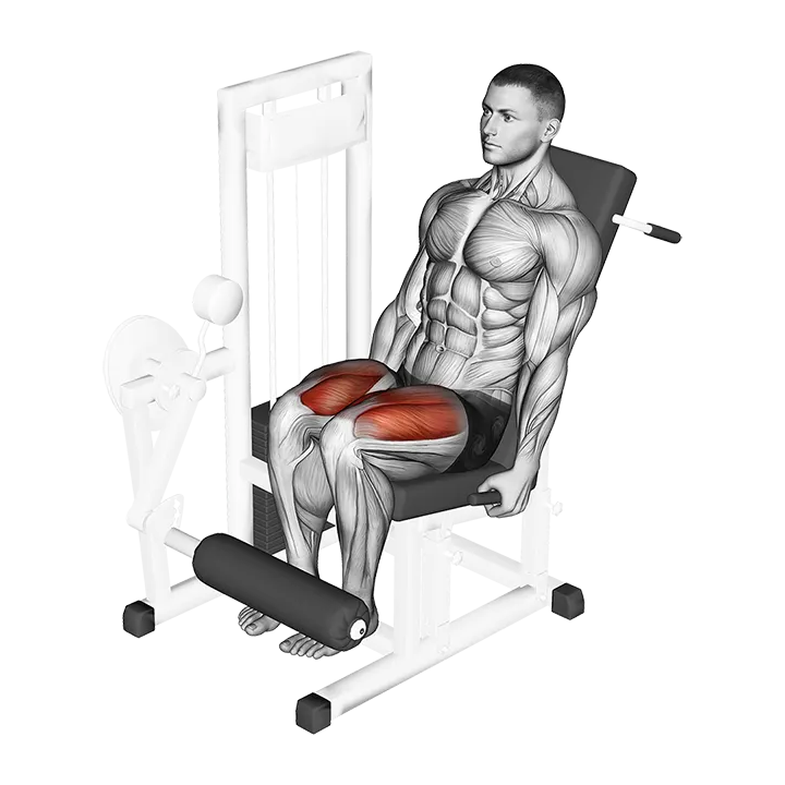 Lever Leg Extension exercise animation (Male)