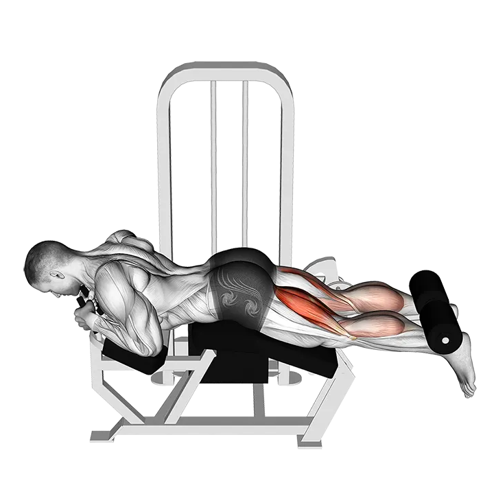Lever Lying Leg Curl exercise animation (Male)