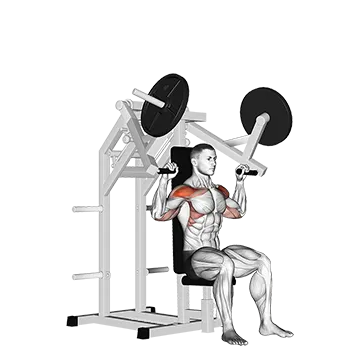 Lever Military Press (plate loaded)