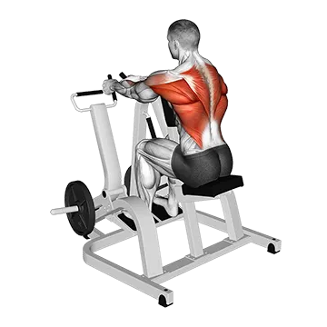 Lever Neutral Grip Seated Row (plate loaded)