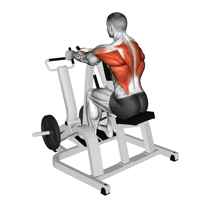 Lever Neutral Grip Seated Row (plate loaded) exercise animation (Male)