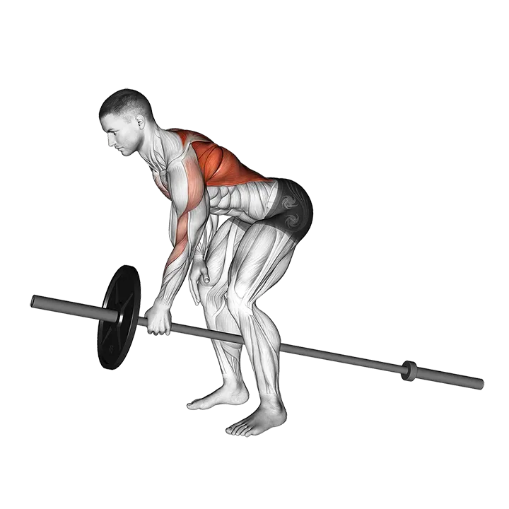 Lever One Arm Bent over Row (plate loaded) exercise animation (Male)