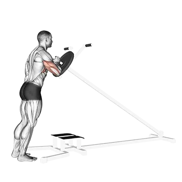 Lever One Arm Shoulder Press (plate loaded)