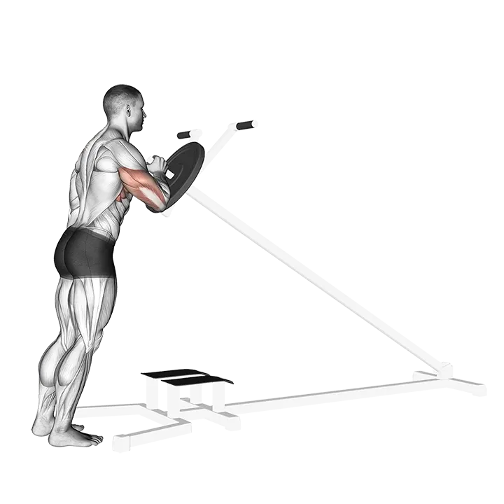 Lever One Arm Shoulder Press (plate loaded) exercise animation (Male)