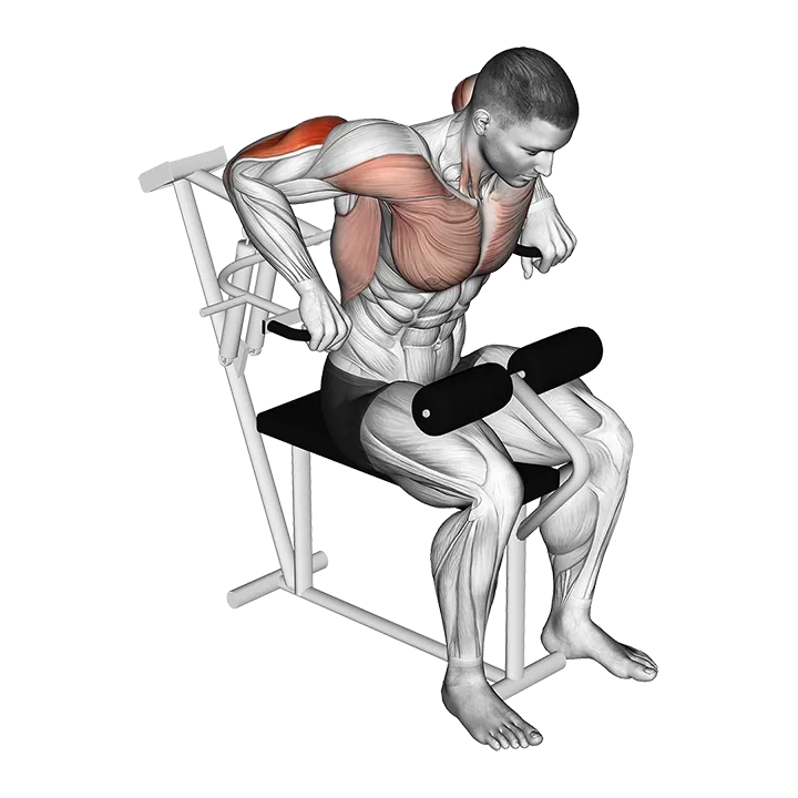 Lever Overhand Triceps Dip exercise animation (Male)